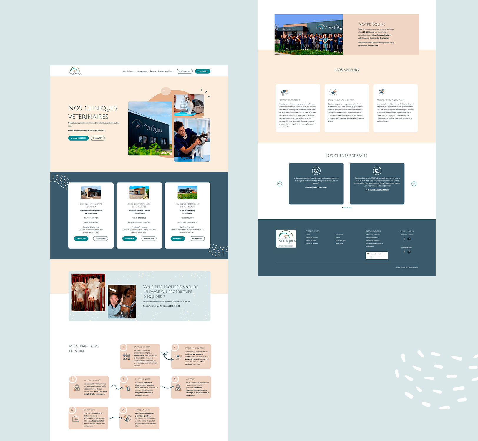 Présentation du nouveau design de la page d'accueil du site Vet'Auréa